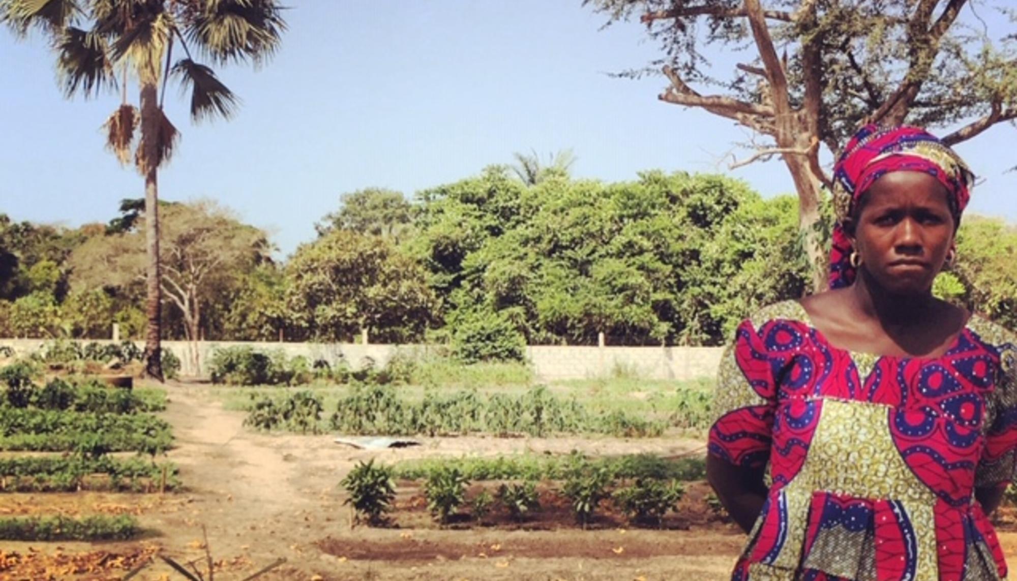 Huerta comunitaria en Diatock (Senegal)